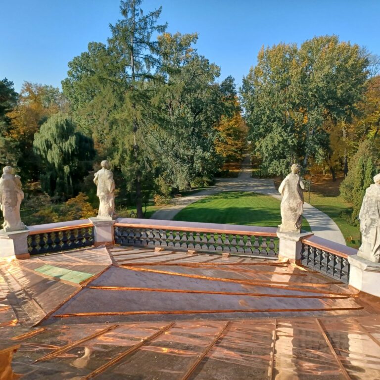 311314374_882160976498375_1908684004736176669_n