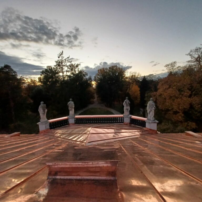 Remont zabytkowgo dachu 2.